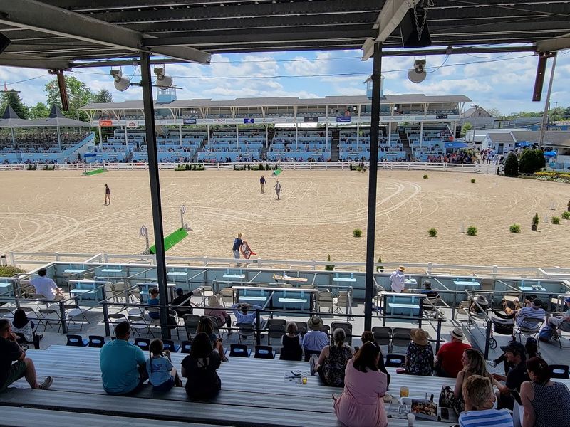 Devon Horse Show & Country Fair