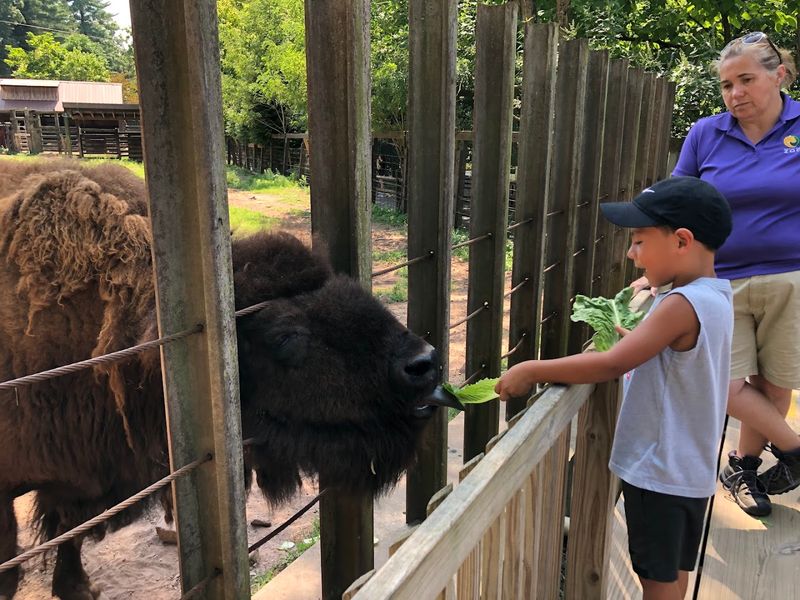 Elmwood Park Zoo &ndash; Norristown