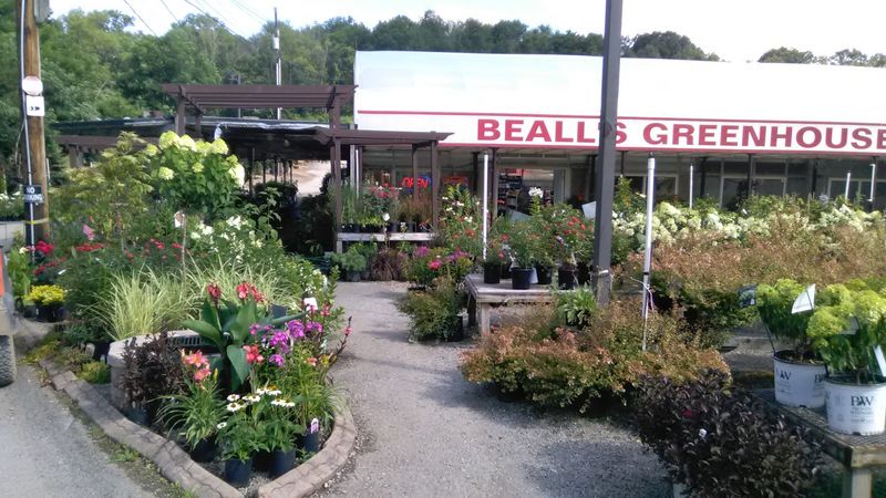 Beall's Greenhouse Nursery & Supply (Pittsburgh area)
