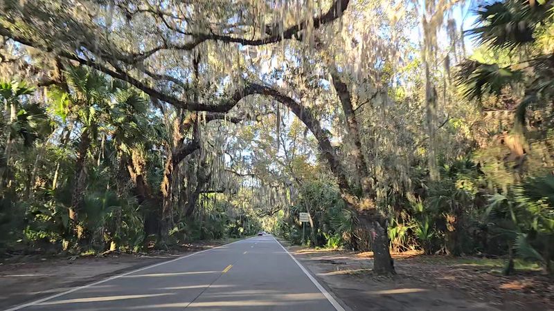 A Peaceful Ride Through The Park