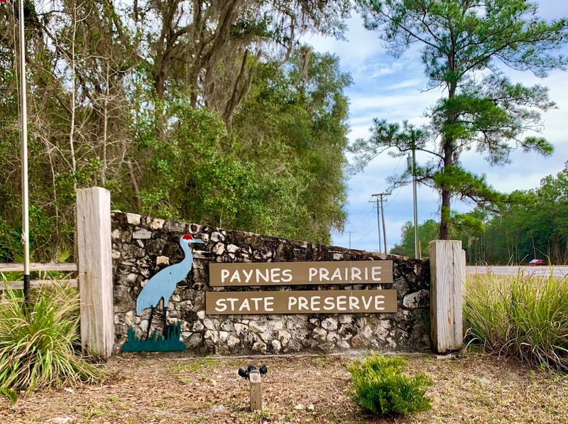 Connection to Paynes Prairie State Park
