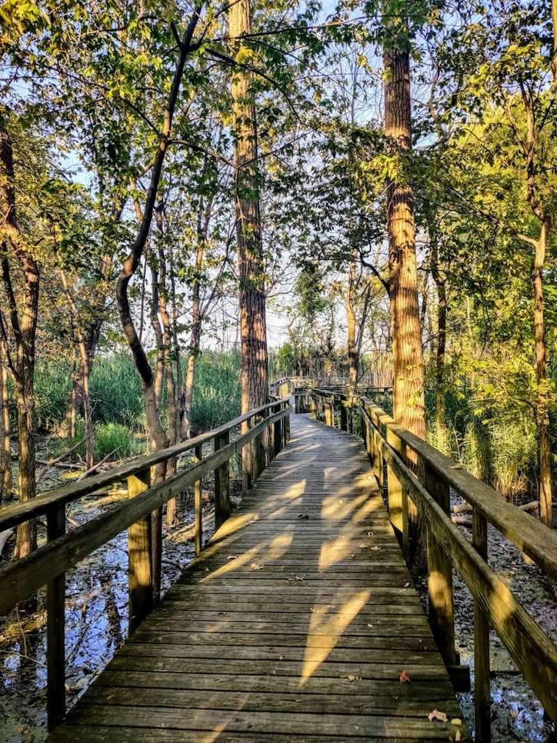 Lakeside Boardwalk Trails