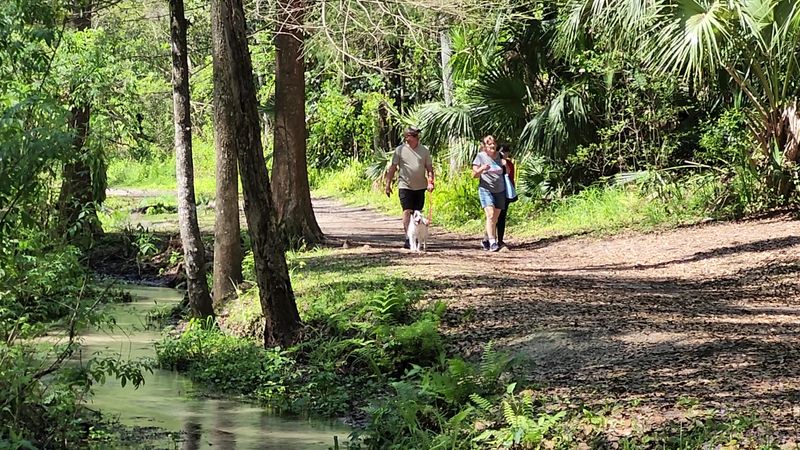 Ravine Gardens Trail System