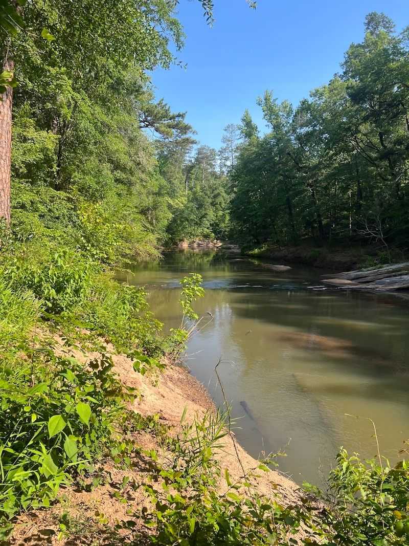 Hitchiti Nature Trail