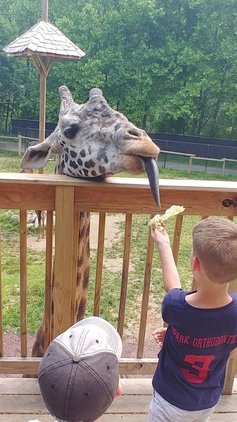 Lehigh Valley Zoo &ndash; Schnecksville