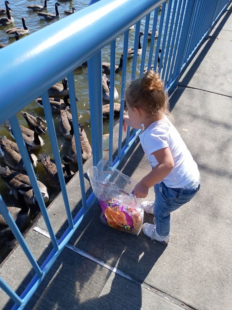 A Perfect Family-Friendly Destination