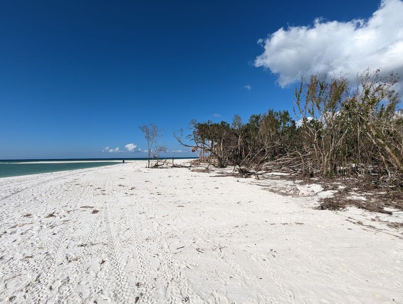 Barefoot Beach Preserve
