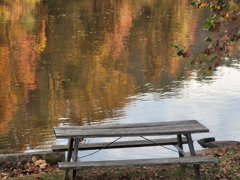 Seneca Lake Park
