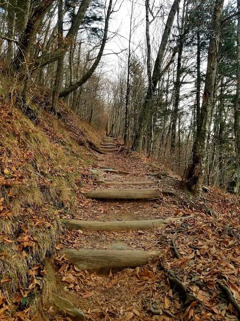Appalachian Trail: Newfound Gap to Road Prong Trail (GSMNP)