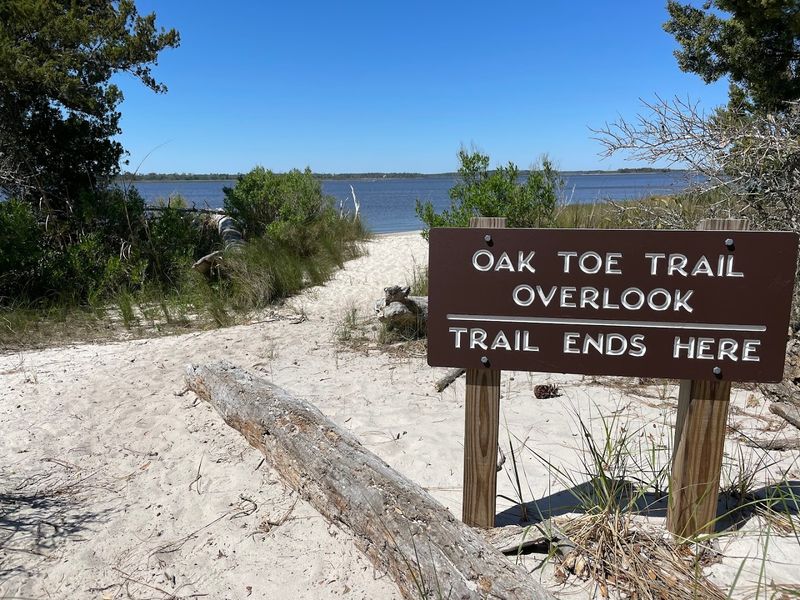 Carolina Beach State Park