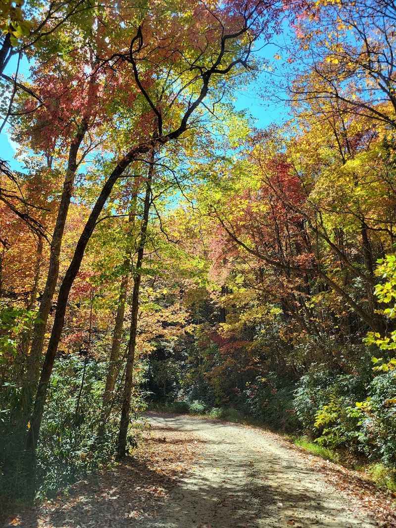 Tray Mountain Trail – Helen