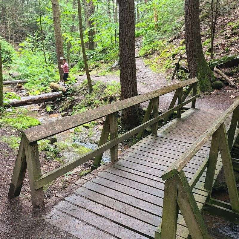 Trough Creek State Park