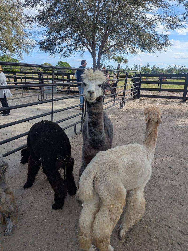 It Feels More Like Visiting a Family Farm Than a Tourist Stop