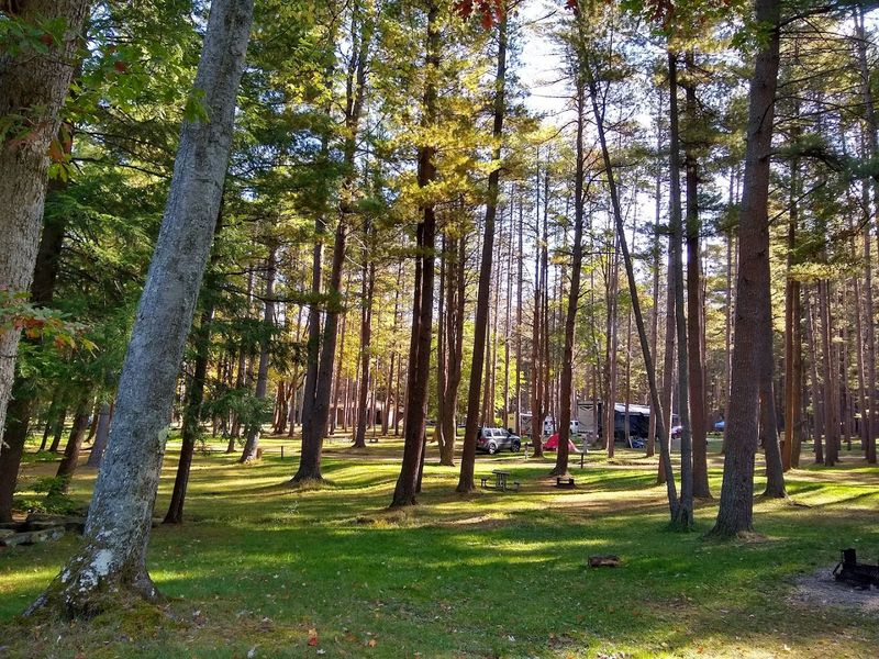 Cook Forest State Park