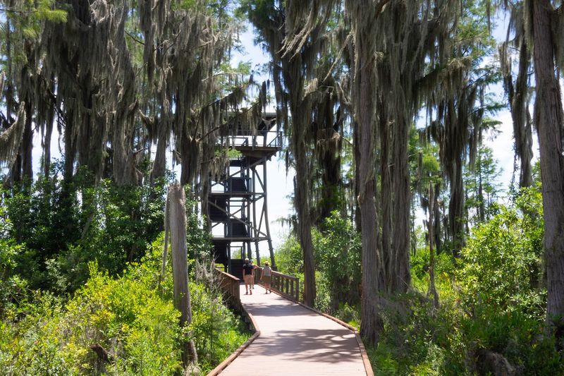 Okefenokee National Wildlife Refuge