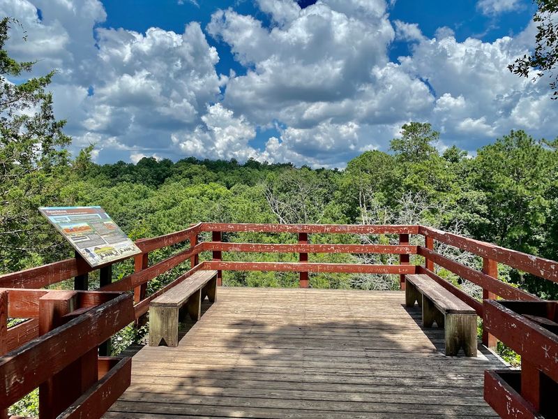 Panola Mountain State Park