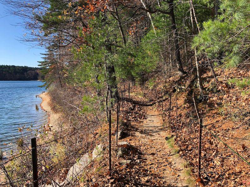 Walden Pond State Reservation (Concord)