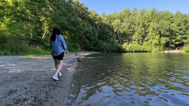 Walden Pond Loop Trail