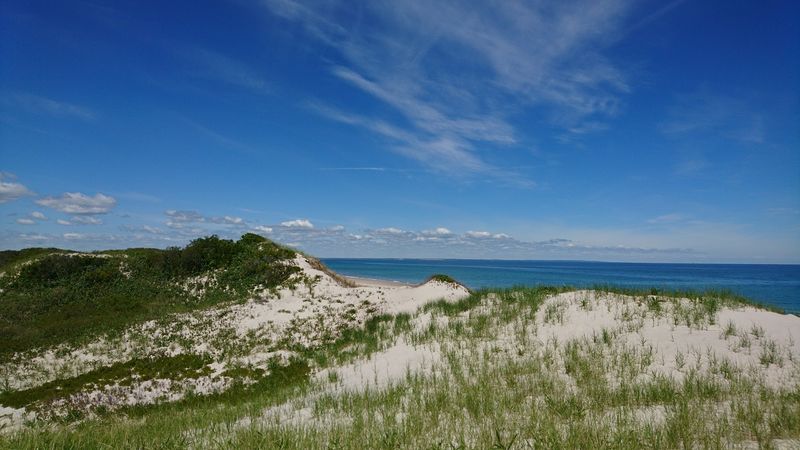 Sandy Neck Boardwalk and Trails