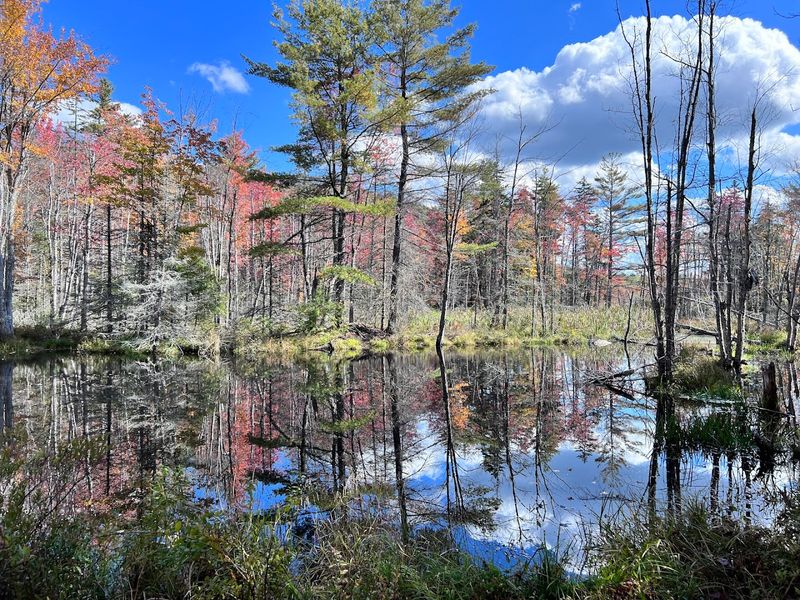 Mount Watatic Trail – Ashburnham