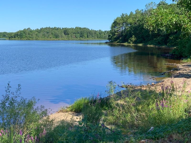 Lake Nippenicket