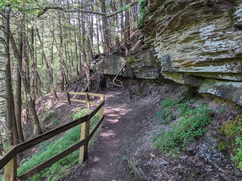 Forest Trails That Keep the Canyon Close