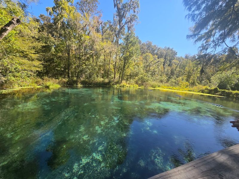 Ichetucknee Springs State Park (Fort White)