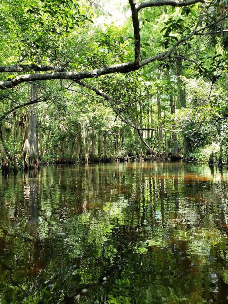 Loxahatchee River (Jupiter)