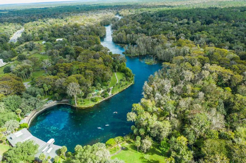 Silver Springs State Park, Marion County