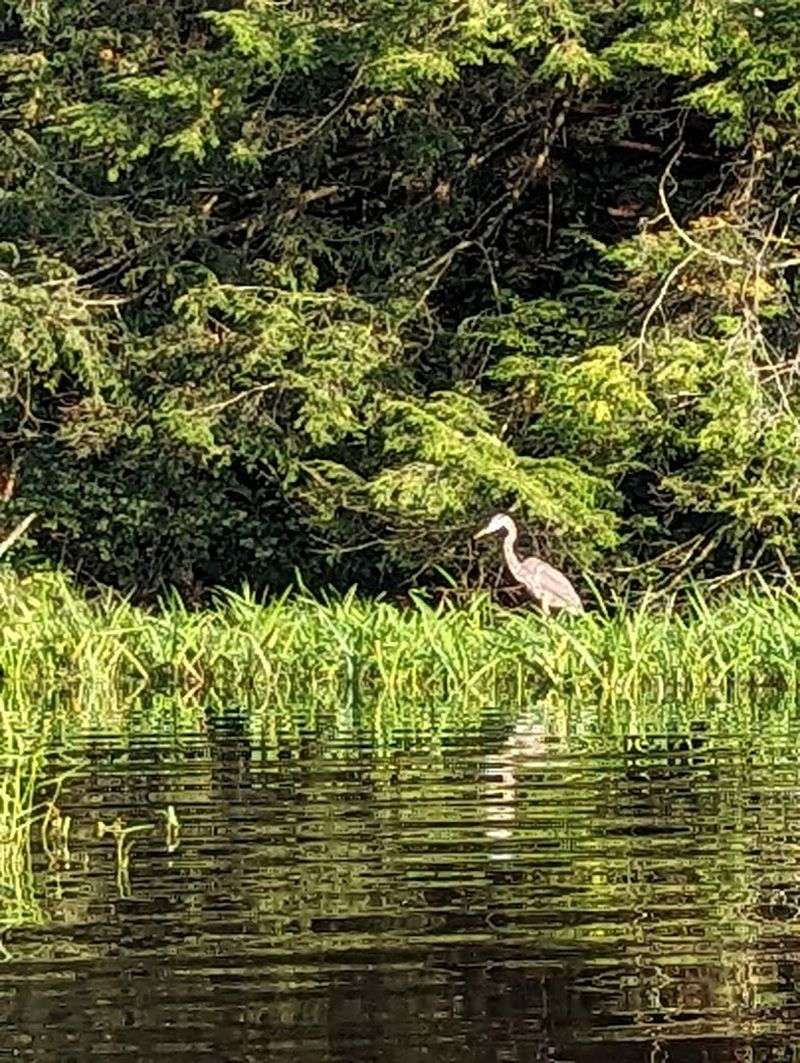 A Great Spot For Wildlife And Nature Photography