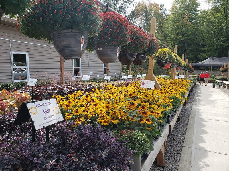 Staff Who Actually Know Their Plants Inside and Out
