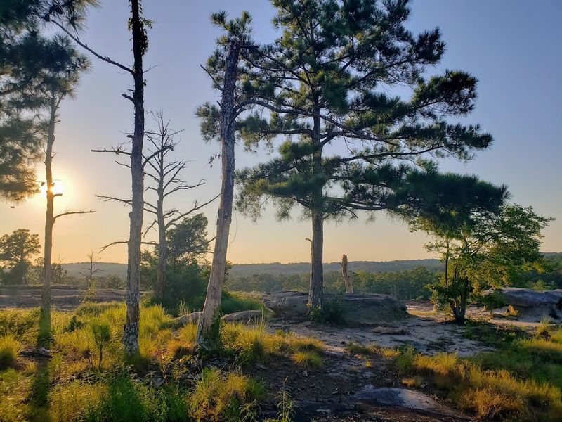 Hiking Trails With Endless Open-Sky Views