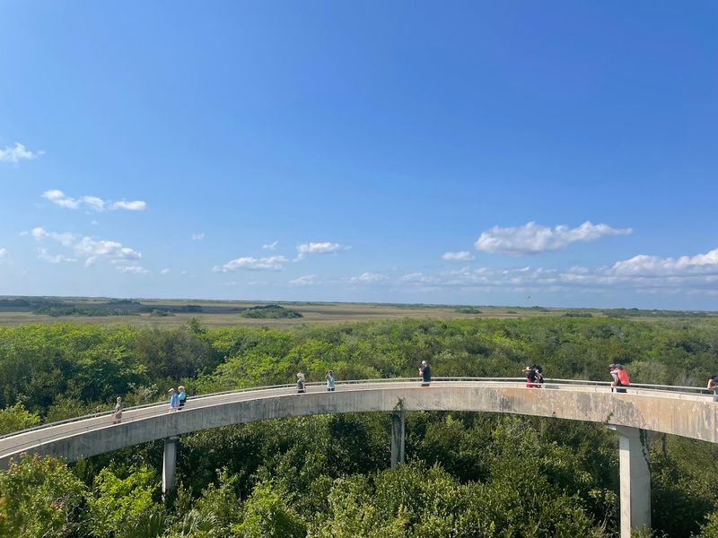 Shark Valley Tram Road Trail at Everglades National Park (Miami-Dade County)