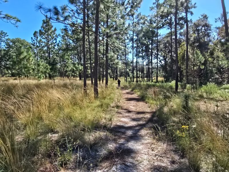 Sweetwater Preserve Trails
