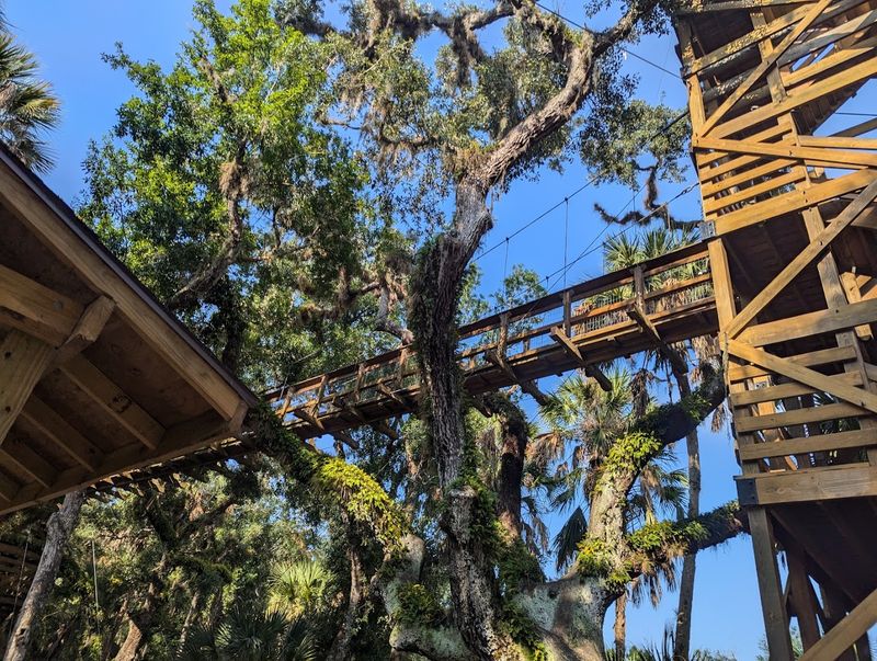 Myakka Canopy Walk and Trails - Myakka River State Park