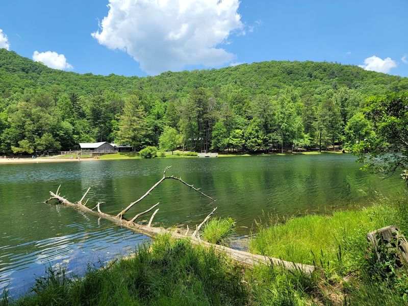 Vogel State Park