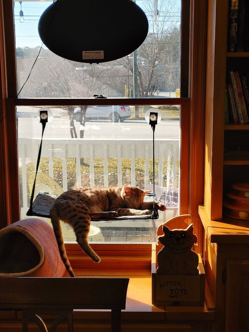 Thoughtfully Designed Space for Maximum Comfort