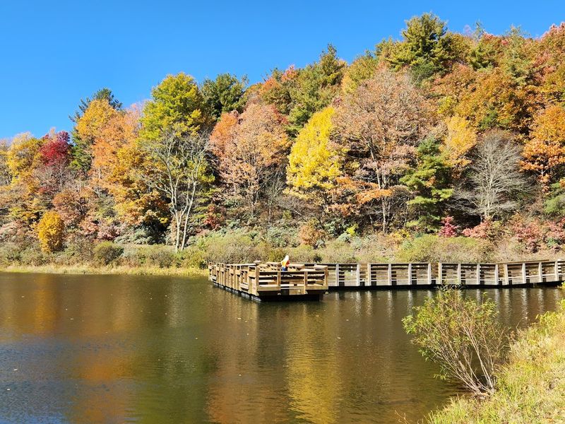 Gateway to Pisgah National Forest Adventures