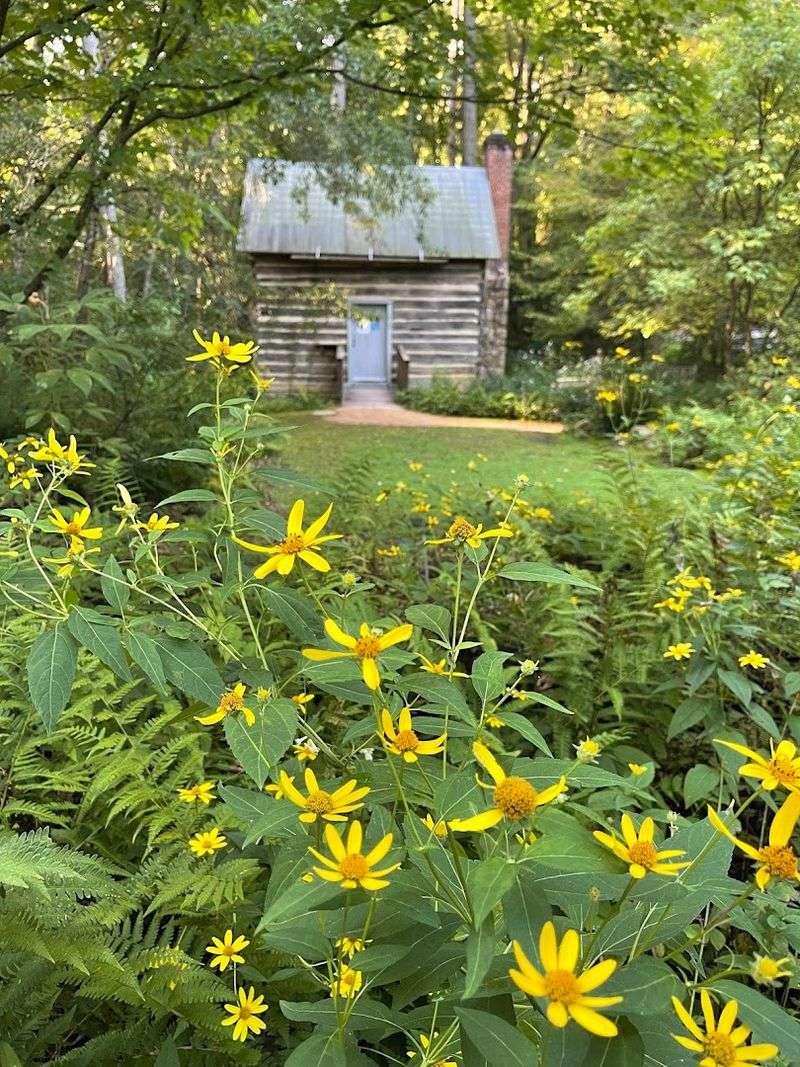North Carolina Botanical Garden (Chapel Hill)