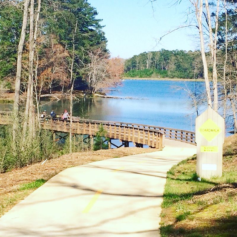 Panola Mountain State Park