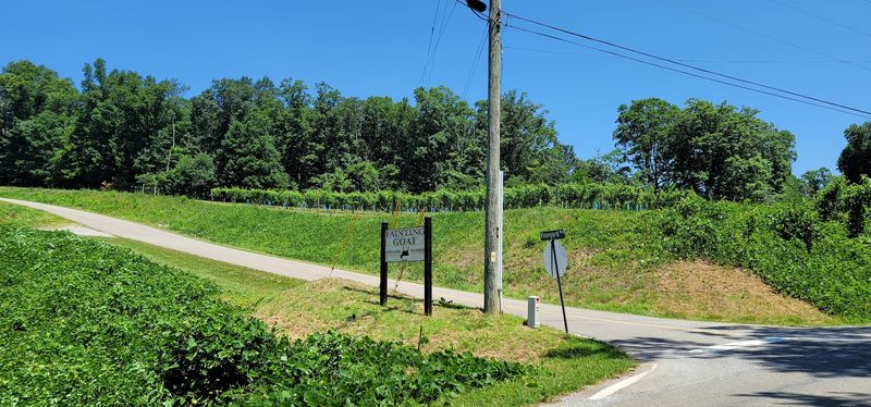Ellijay Apple Country Scenic Loop (Gilmer County Backroads)
