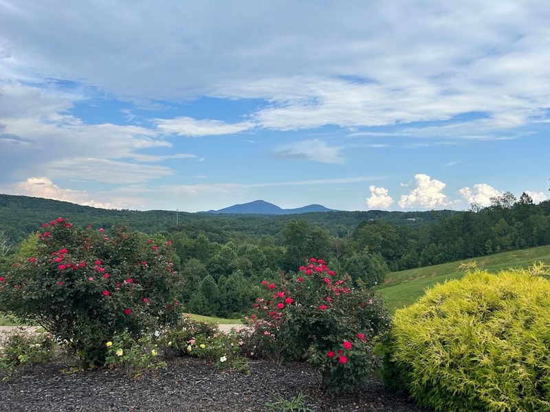 Dahlonega Wine Country Backroads