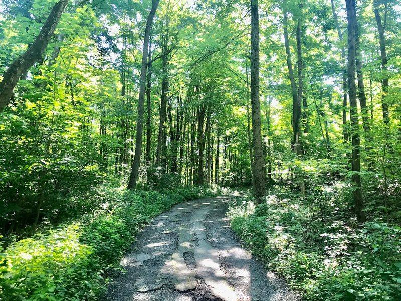 Mount Minsi Trail