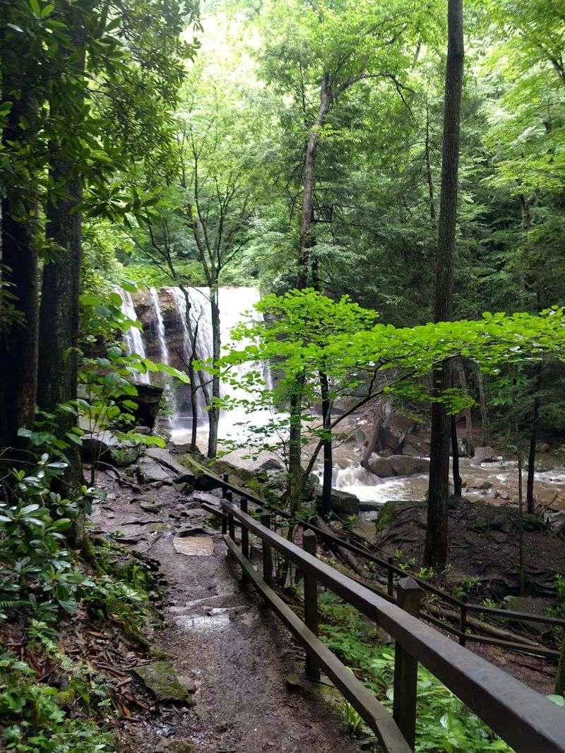 Ohiopyle State Park