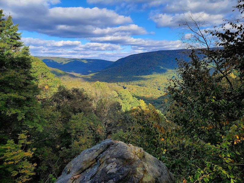 Ohiopyle State Park