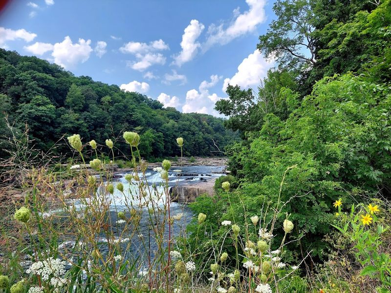 Ohiopyle State Park (Youghiogheny River Gorge)