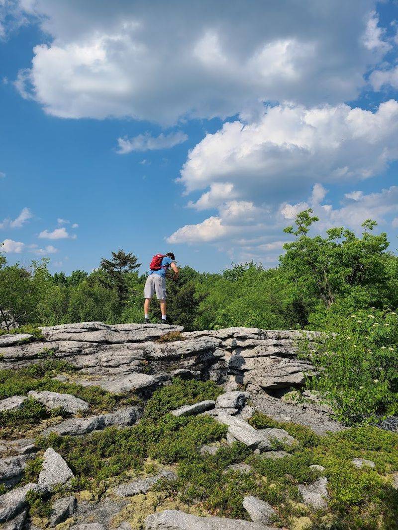 State Game Lands 57 (Bald Eagle Region)