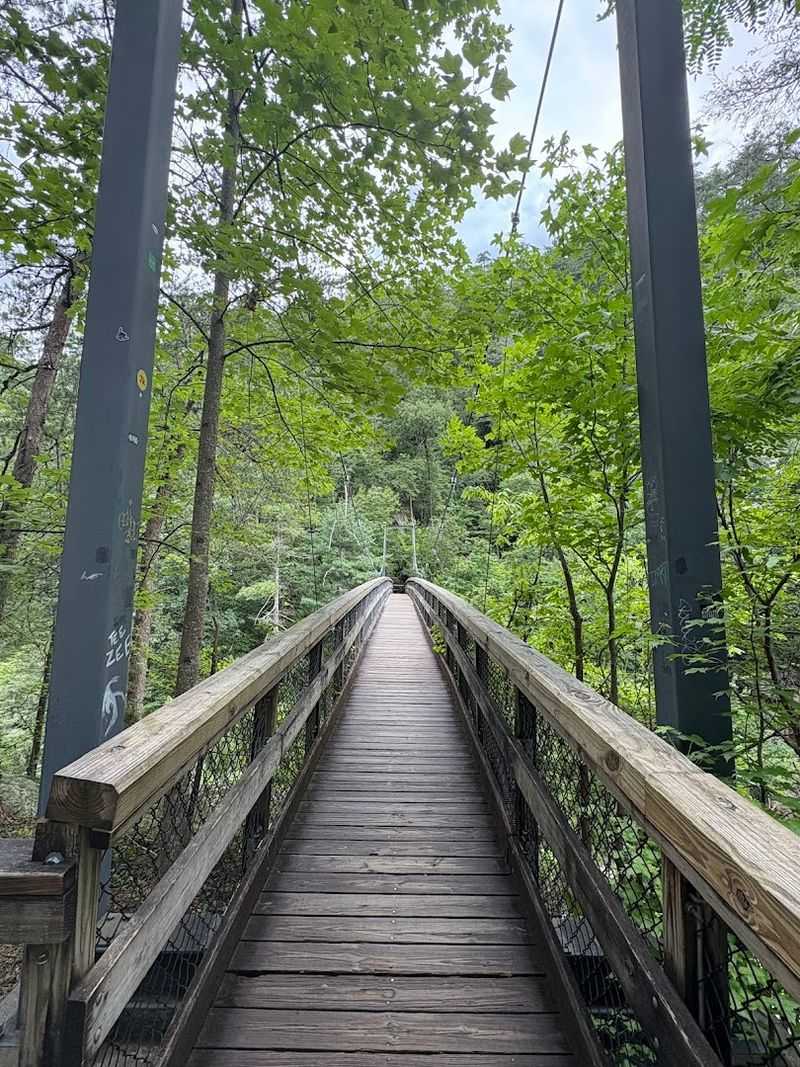 Cross the Suspension Bridge at Tallulah Gorge State Park