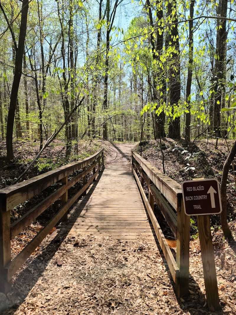 Explore Providence Canyon State Park