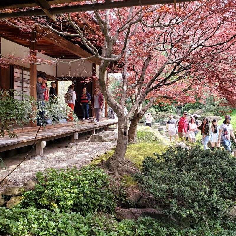 Philadelphia Cherry Blossom / Sakura Events (Shofuso)